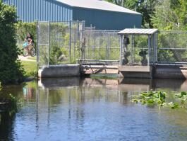 Study on potential Clam River dam upgrades in the works