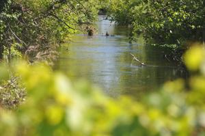 EGLE says there was no detectable impact to Clam River from sewer overflow