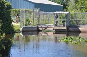 Study on potential Clam River dam upgrades in the works