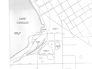 Realtor says there is strong interest in flood-affected homes Realtor says there is strong interest in flood-affected homes