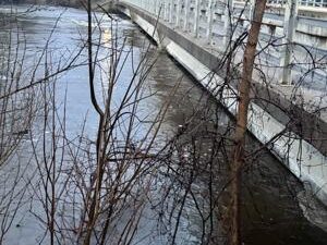 River levels surging in Evart, receding in Marion