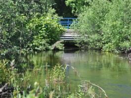 Would dredging the Clam River had lessened the impact of flooding?